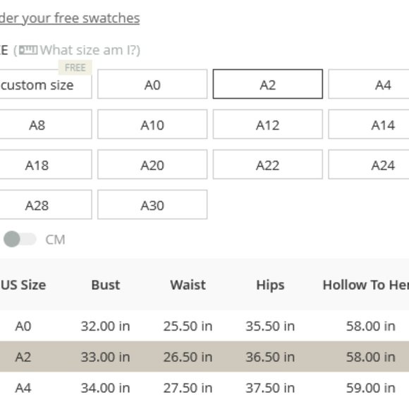 AZAZIE NWT UnalteredLivy Mermaid Chiffon Floor-Length Dress in RUST size 2 or A2 - Picture 7 of 7